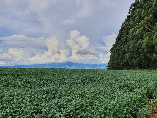 Fazenda para Venda em São João da Boa Vista - 4