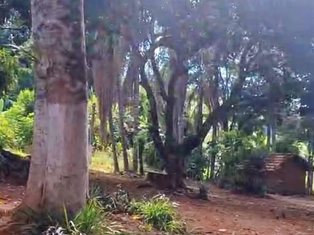 Chácara para Venda em São João da Boa Vista - 4