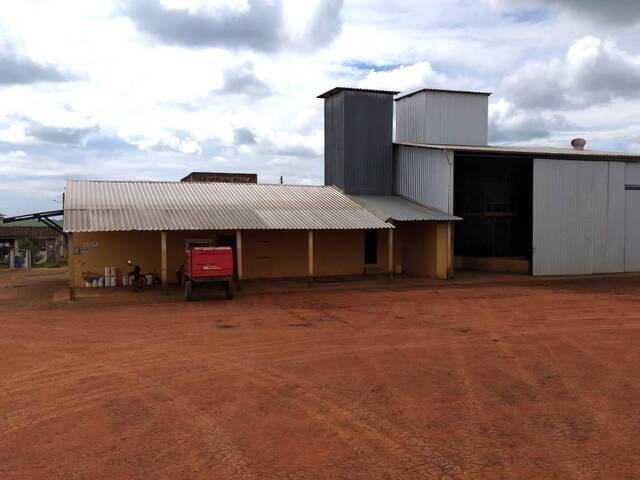  para  em  - 5