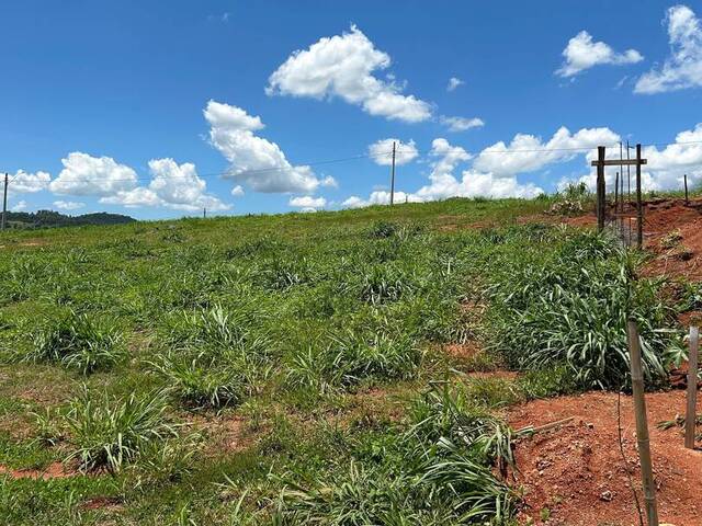 Área para Venda em São João da Boa Vista - 4