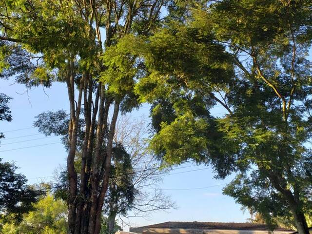 Casa para Venda em Poços de Caldas - 5