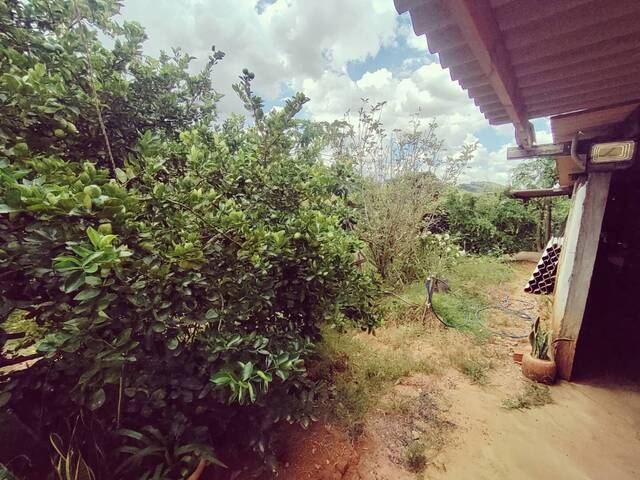 Chácara para Venda em Jacutinga - 5
