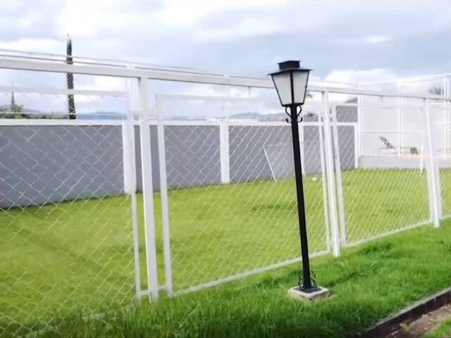  para  em  - 4