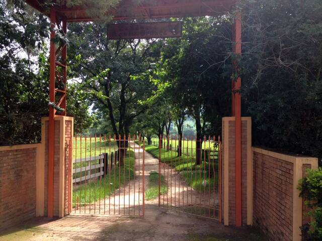 #380 - Sítio para Venda em São João da Boa Vista - SP