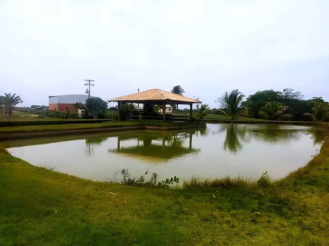 #385 - Fazenda para Venda em Panorama - SP