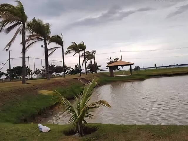#385 - Fazenda para Venda em Panorama - SP