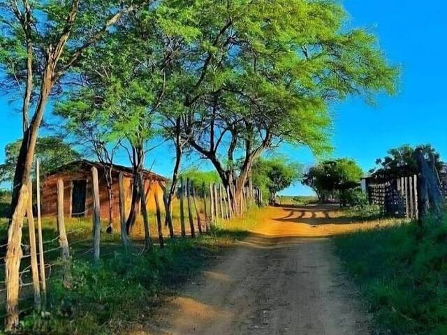#390 - Chácara para Venda em Ponta Porã - MS