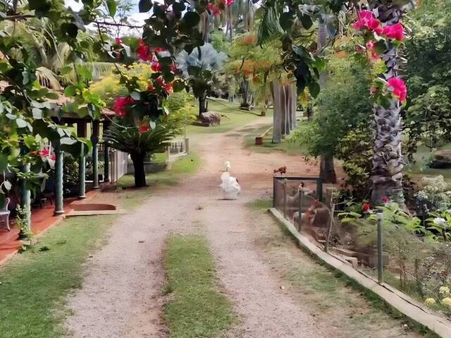 #423 - Chácara para Venda em São João da Boa Vista - SP