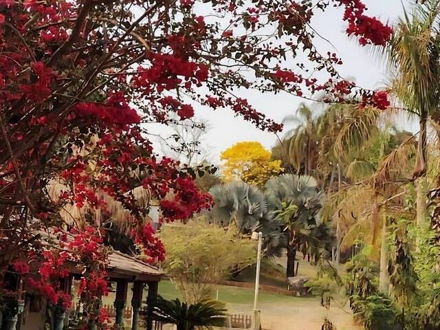 #423 - Chácara para Venda em São João da Boa Vista - SP