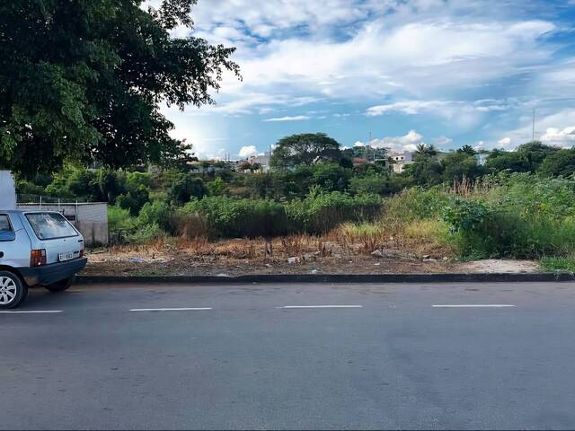 Venda em Jardim das Flores - São João da Boa Vista