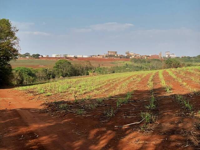#440 - Chácara para Venda em São João da Boa Vista - SP