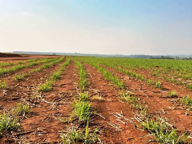 #440 - Chácara para Venda em São João da Boa Vista - SP