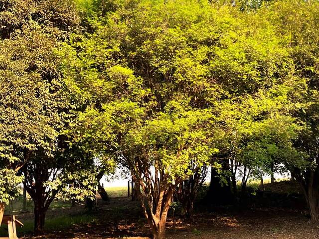#440 - Chácara para Venda em São João da Boa Vista - SP