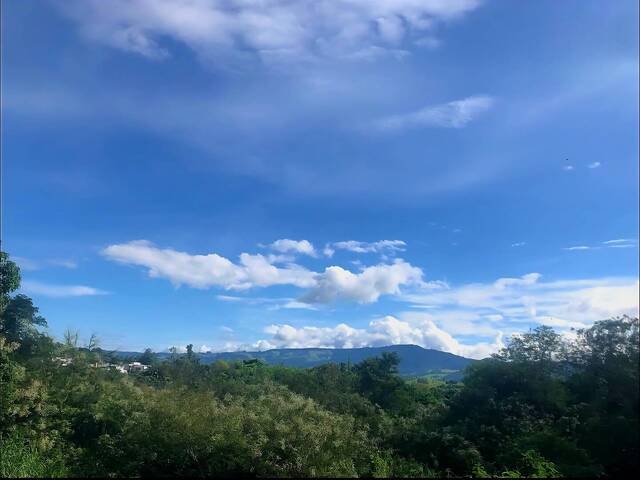 #448 - Área para Venda em São João da Boa Vista - SP