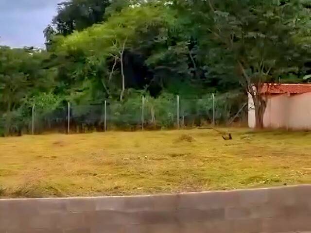 #455 - Área para Venda em São João da Boa Vista - SP