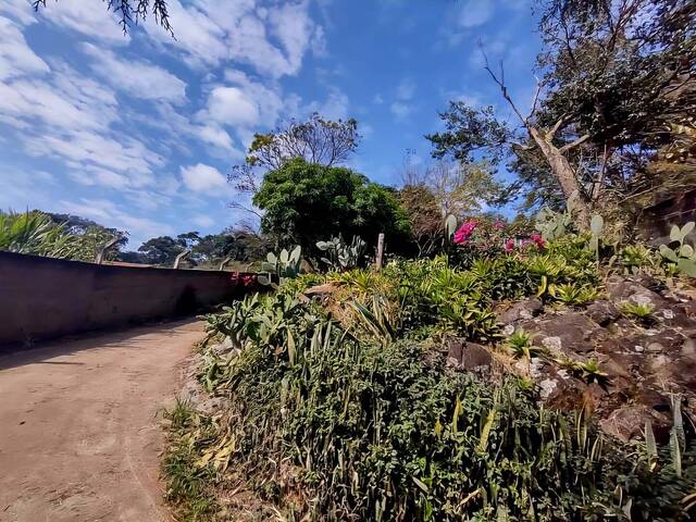 #113 - Chácara para Venda em São João da Boa Vista - SP