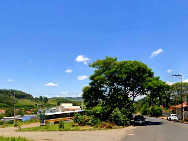 #532 - Área para Venda em São Sebastião da Grama - SP