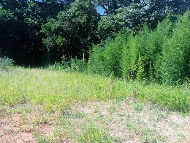 #551 - Chácara para Venda em São João da Boa Vista - SP